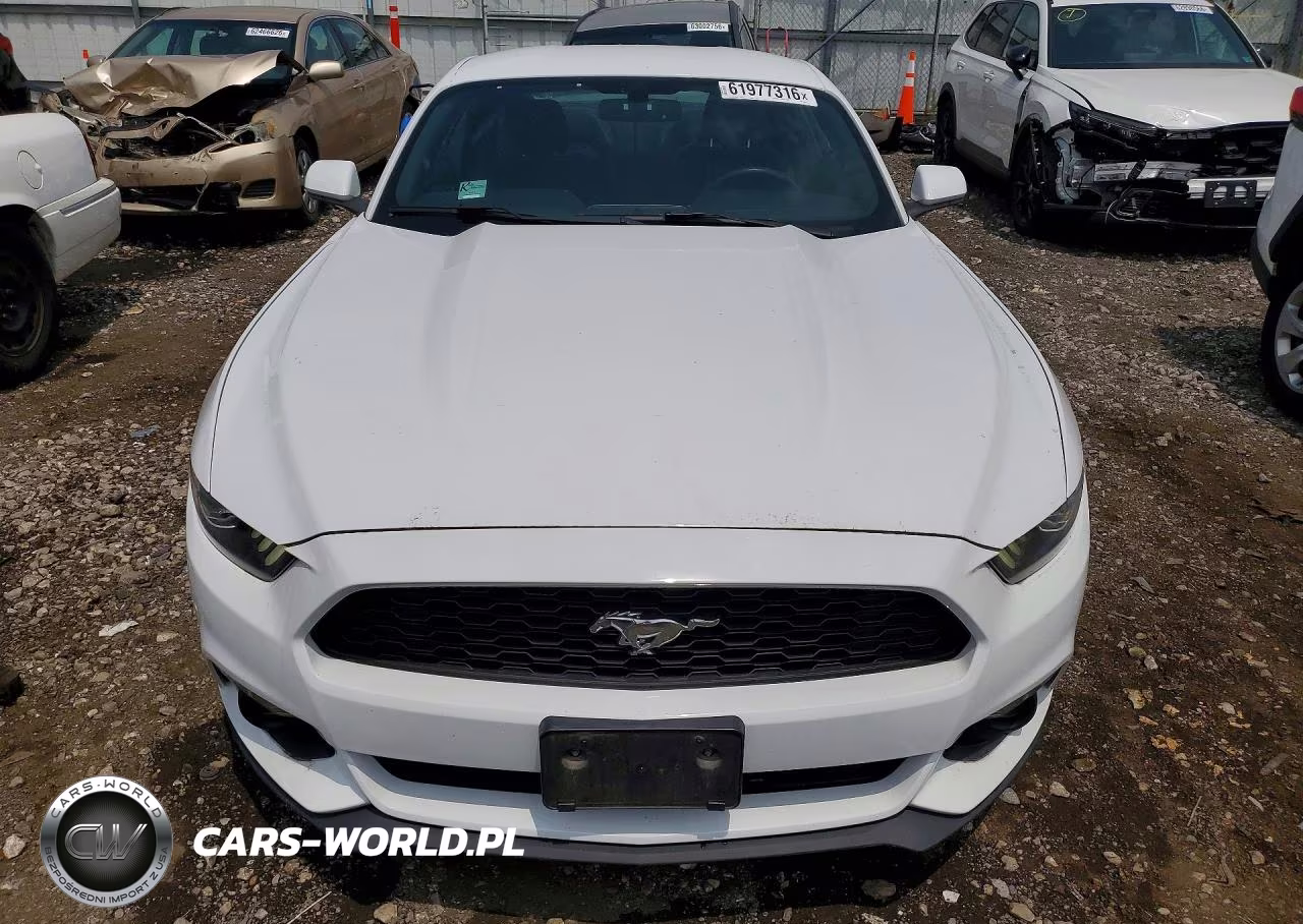 2017 Ford Mustang VIN:1FA6P8TH1H5256223 - 5