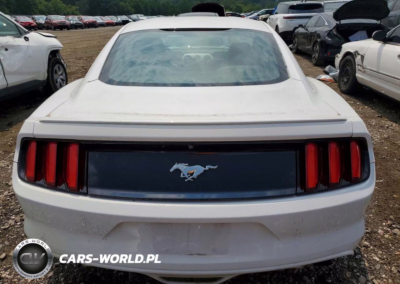 2017 Ford Mustang VIN:1FA6P8TH1H5256223 - 6