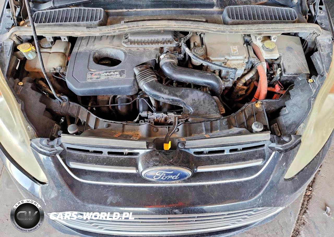2013 Ford C-Max Premium VIN:1FADP5CU1DL515088 - 11