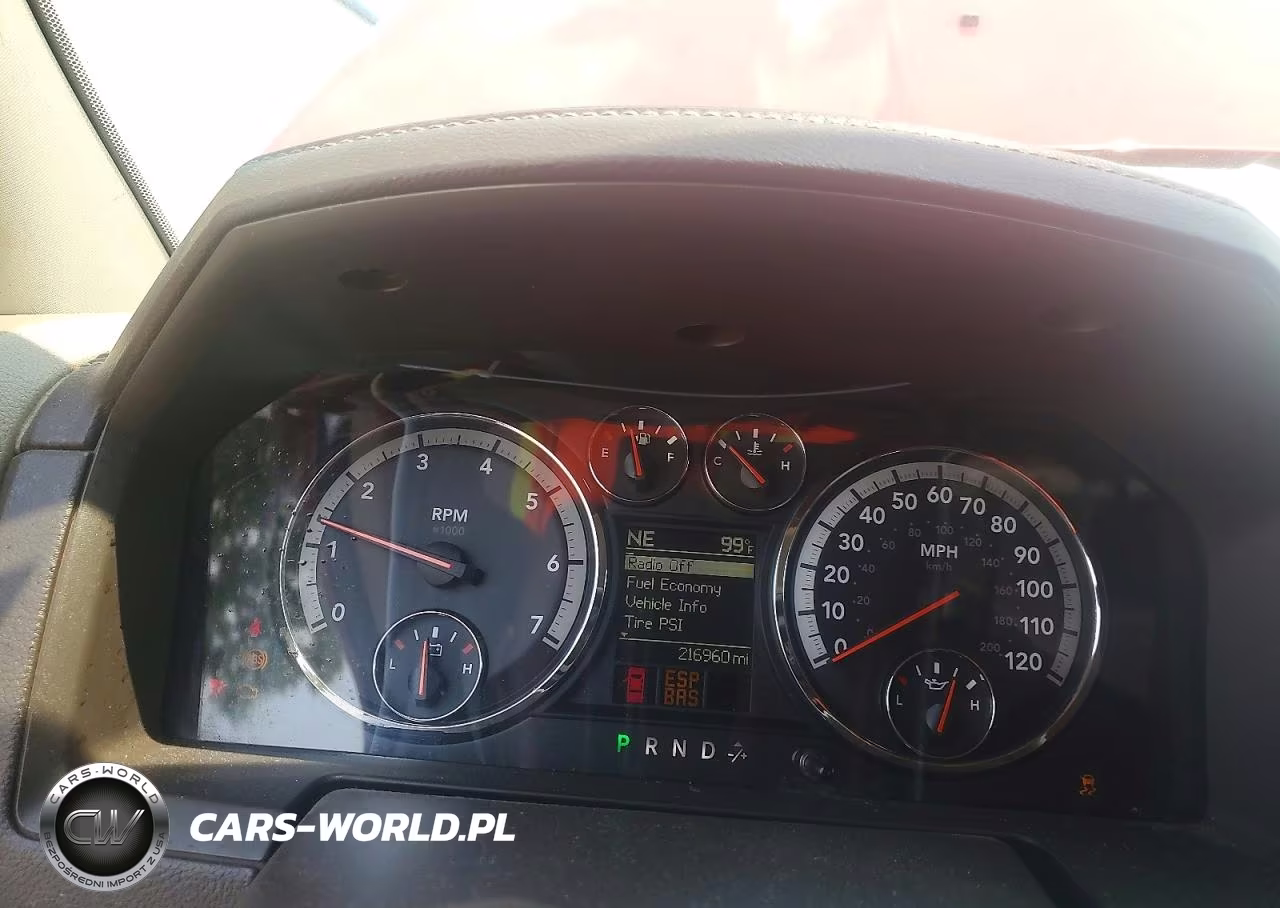 2010 Dodge Ram 1500 VIN:1D7RV1CTXAS124115 - 9