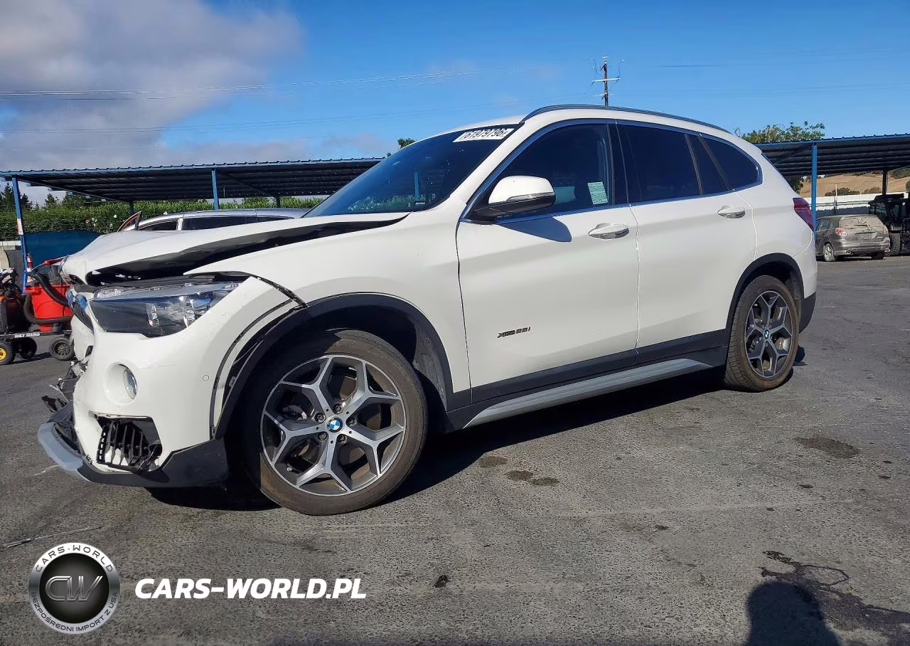 2017 BMW X1 xDrive28I – zdjęcie 1 z 13