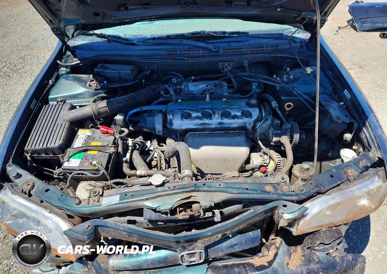 2001 Honda Accord Lx VIN:JHMCG66521C012681 - 11