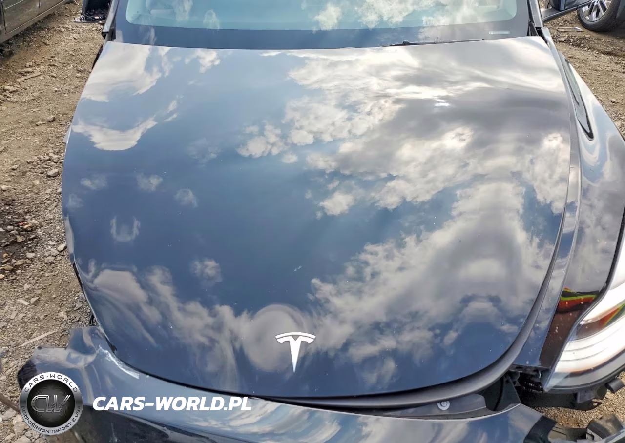 2022 Tesla Model Y VIN:7SAYGDEE3NA014980 - 11