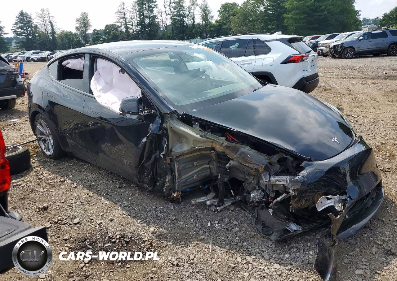 2022 Tesla Model Y VIN:7SAYGDEE3NA014980 - 4