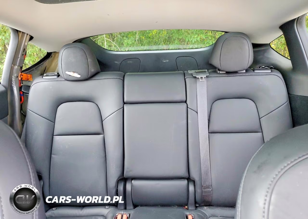 2023 Tesla Model Y VIN:7SAYGDEEXPA166094 - 10