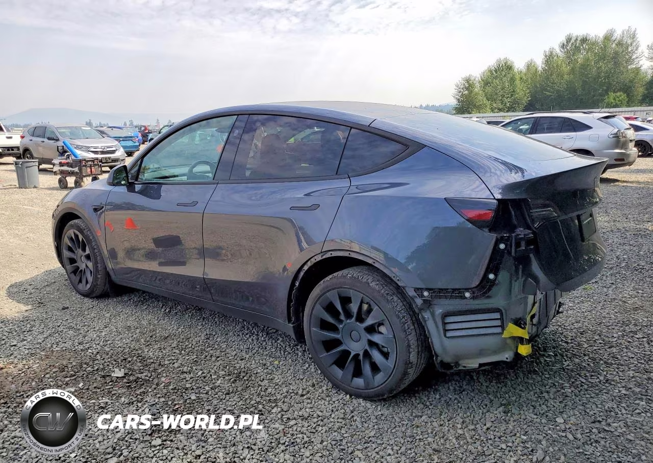 2023 Tesla Model Y VIN:7SAYGDEEXPA166094 - 2