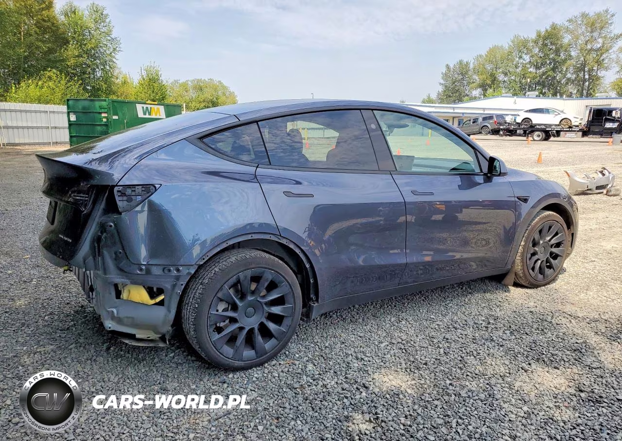 2023 Tesla Model Y VIN:7SAYGDEEXPA166094 - 3