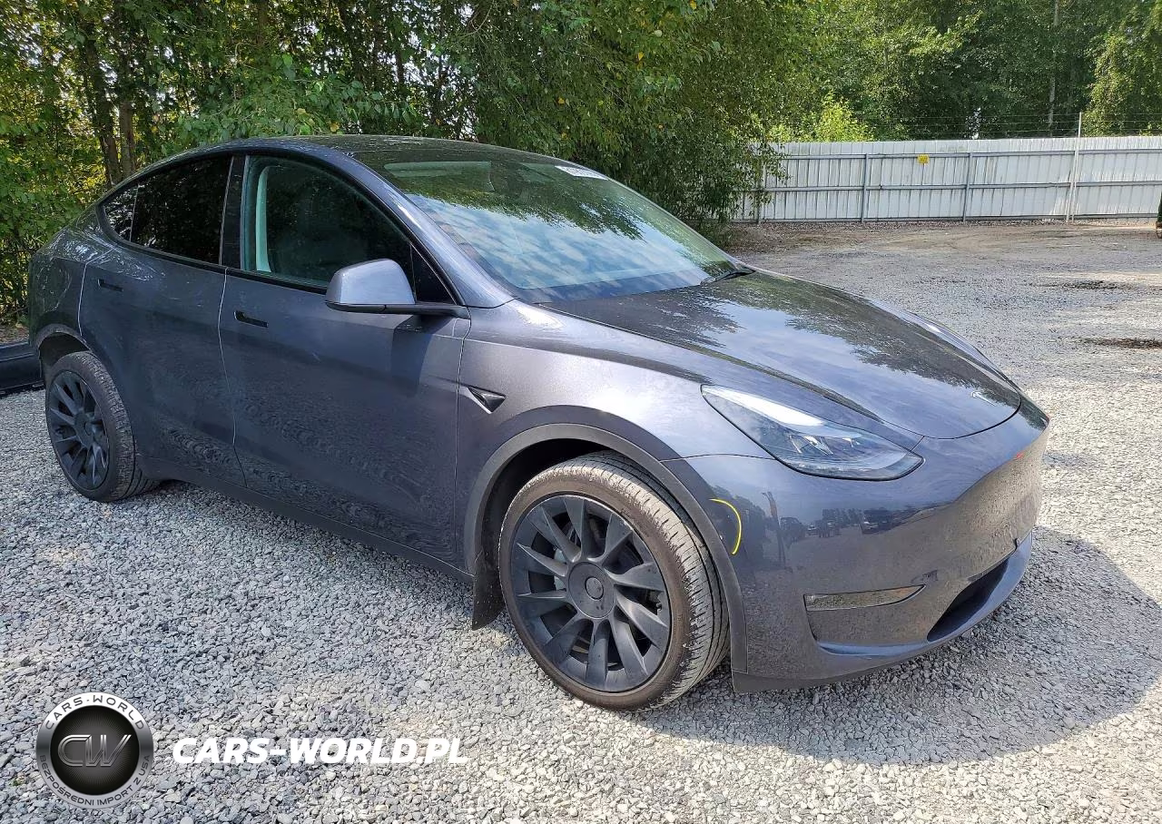 2023 Tesla Model Y VIN:7SAYGDEEXPA166094 - 4