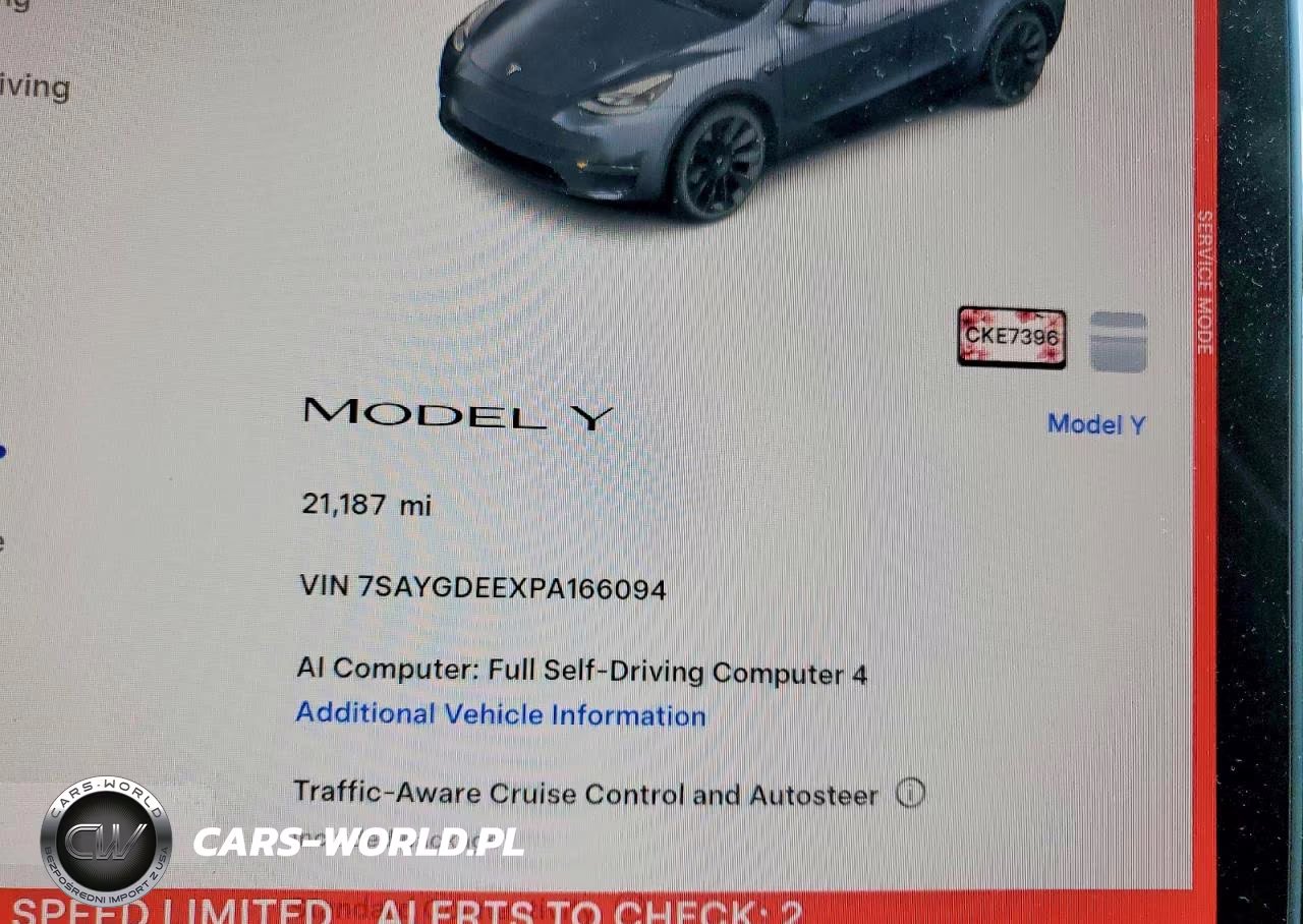 2023 Tesla Model Y VIN:7SAYGDEEXPA166094 - 9