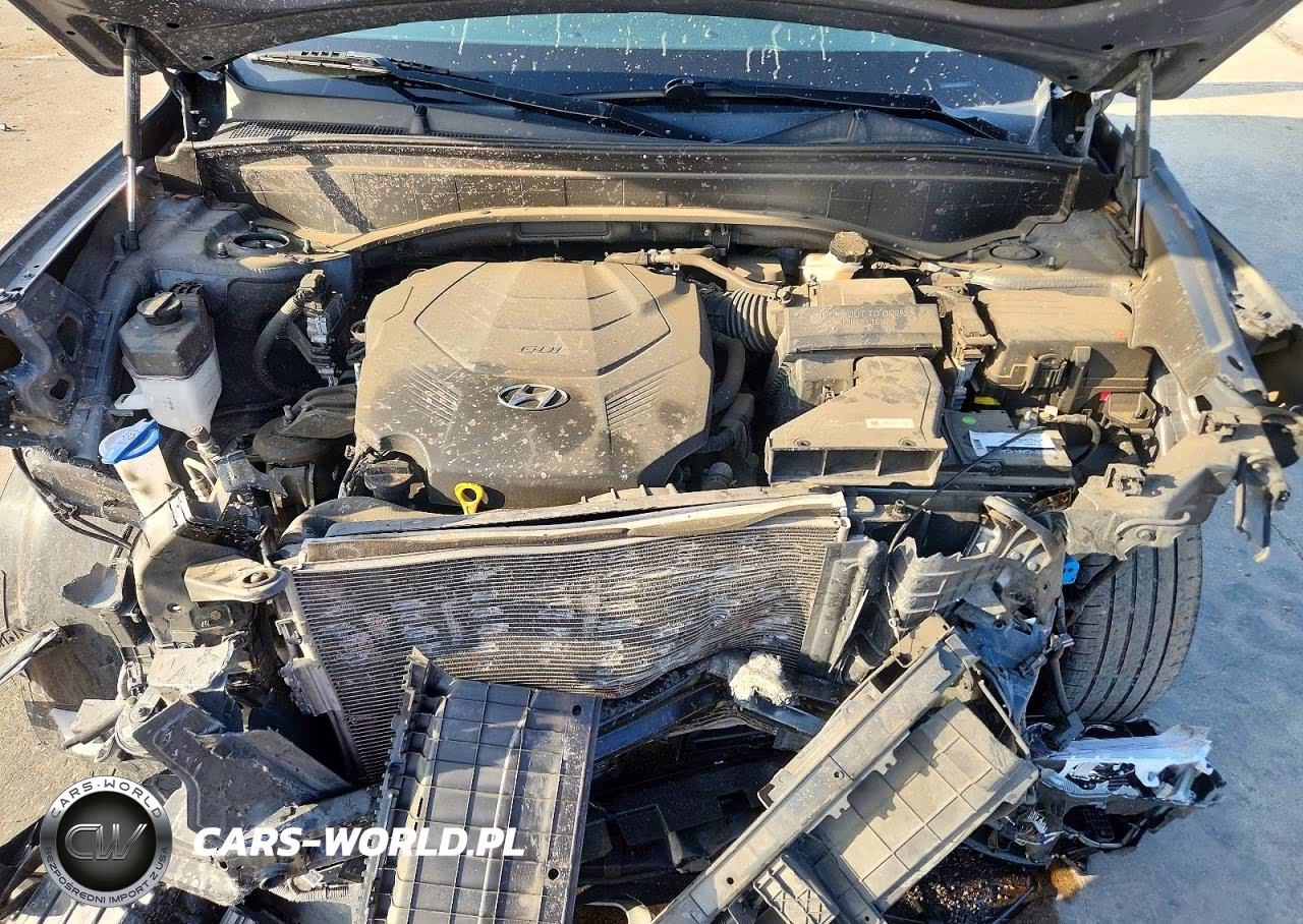 2021 Hyundai Palisade Sel VIN:KM8R4DHEXMU295170 - 12