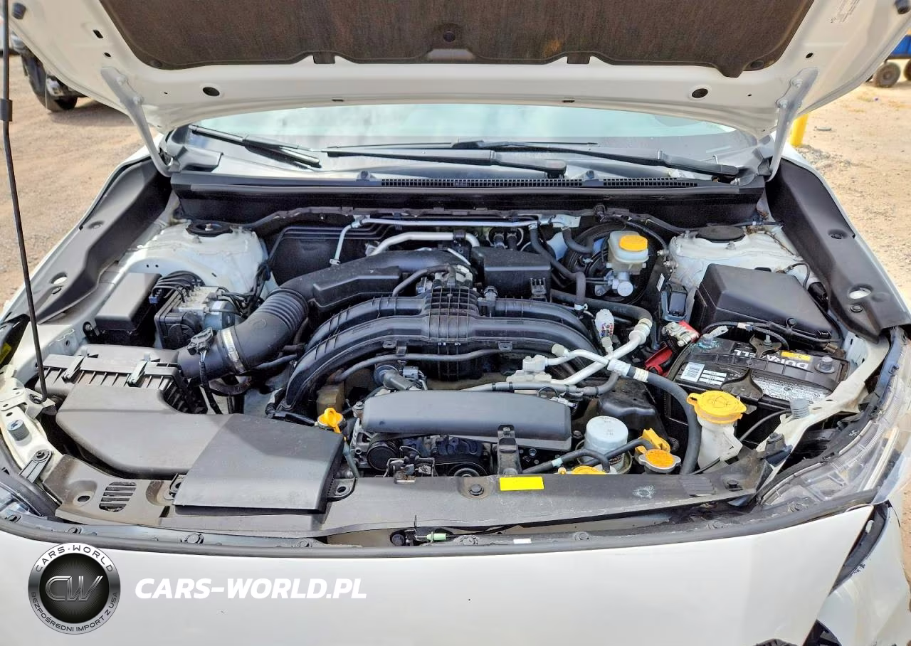 2019 Subaru Crosstrek Premium VIN:JF2GTACC0K8252869 - 12