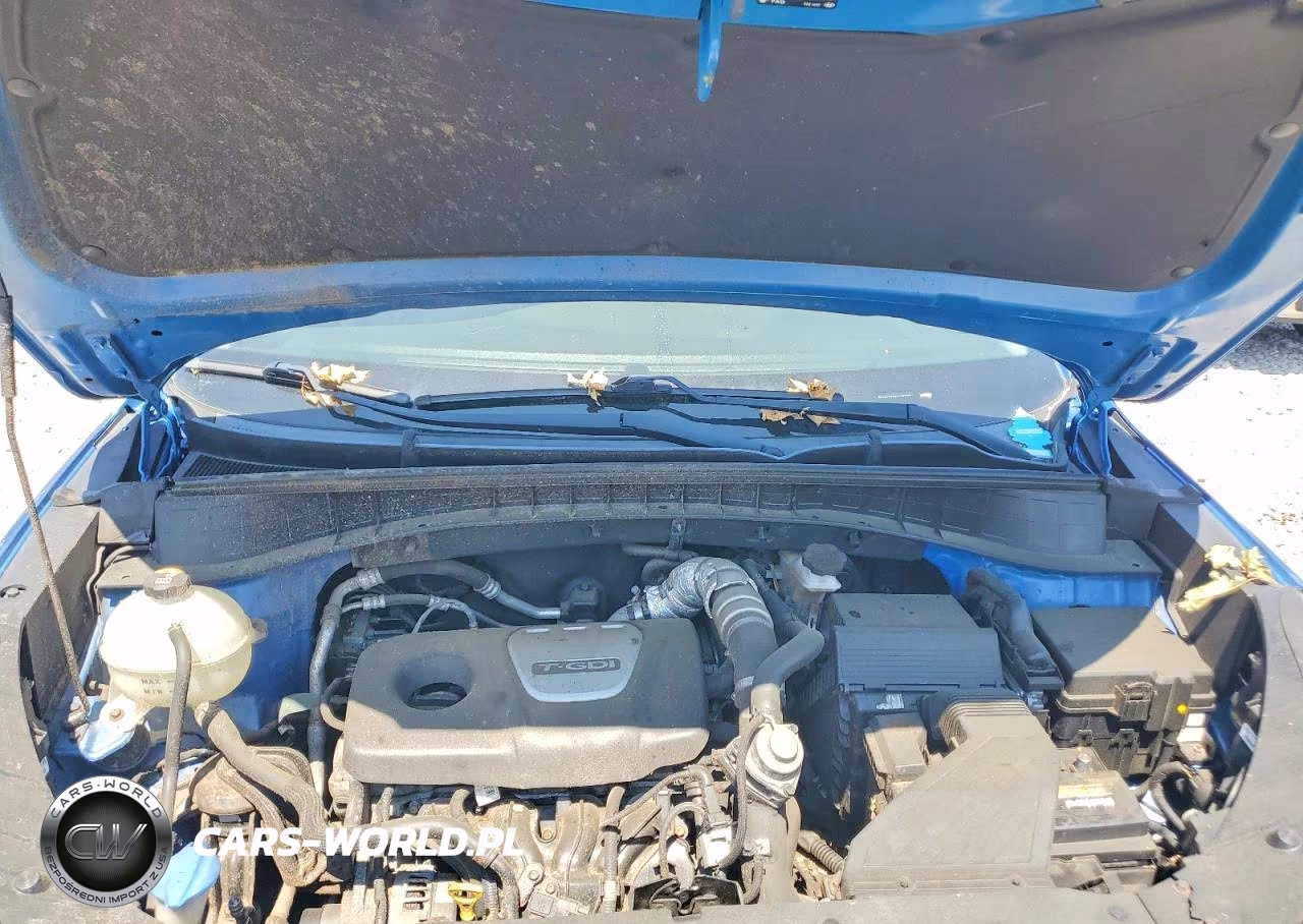 2017 Hyundai Tucson Sport VIN:KM8J3CA23HU523137 - 12