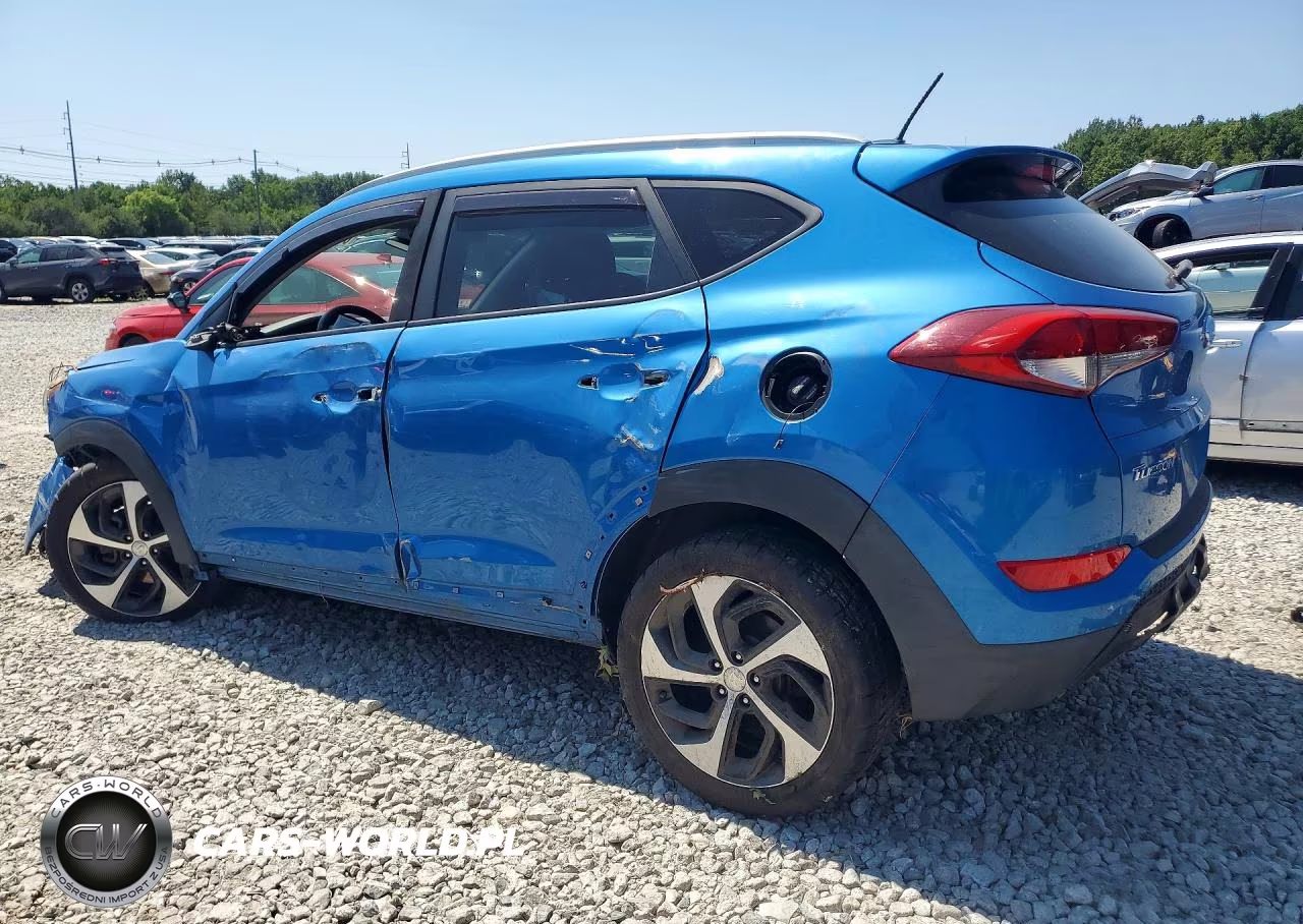 2017 Hyundai Tucson Sport VIN:KM8J3CA23HU523137 - 2