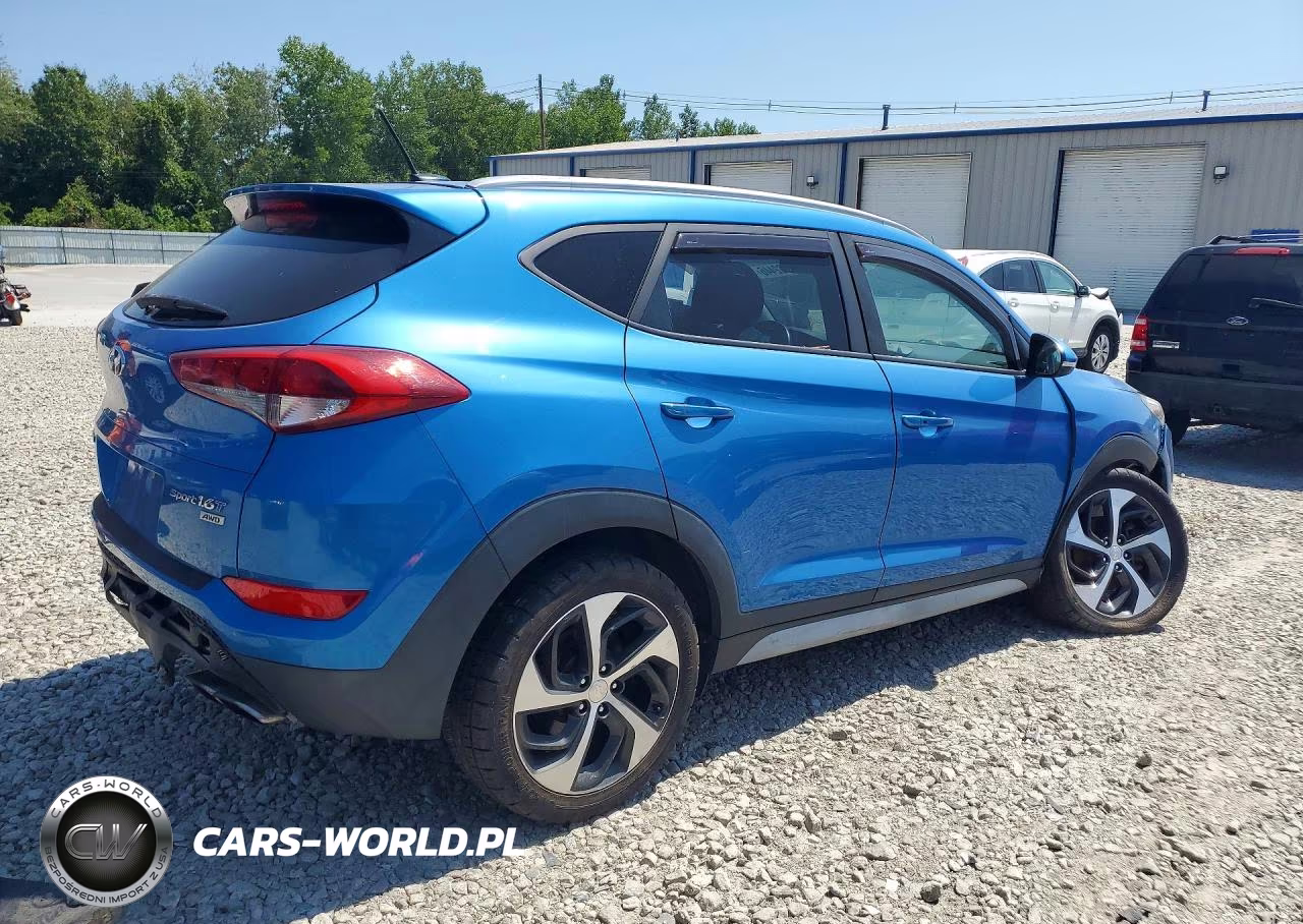2017 Hyundai Tucson Sport VIN:KM8J3CA23HU523137 - 3