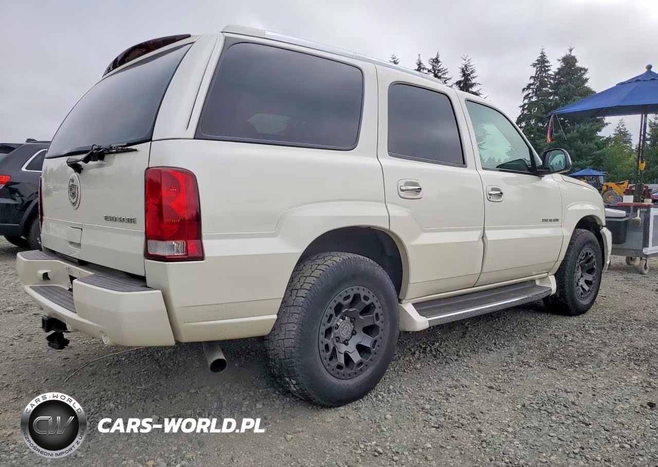 2003 Cadillac Escalade Luxury VIN:1GYEK63N33R111243 - 3