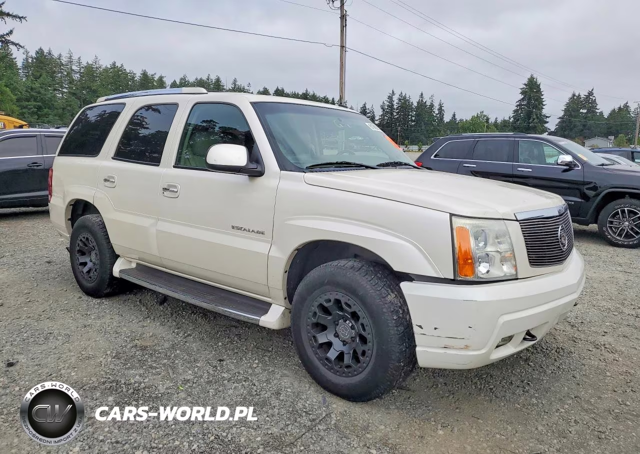 2003 Cadillac Escalade Luxury VIN:1GYEK63N33R111243 - 4