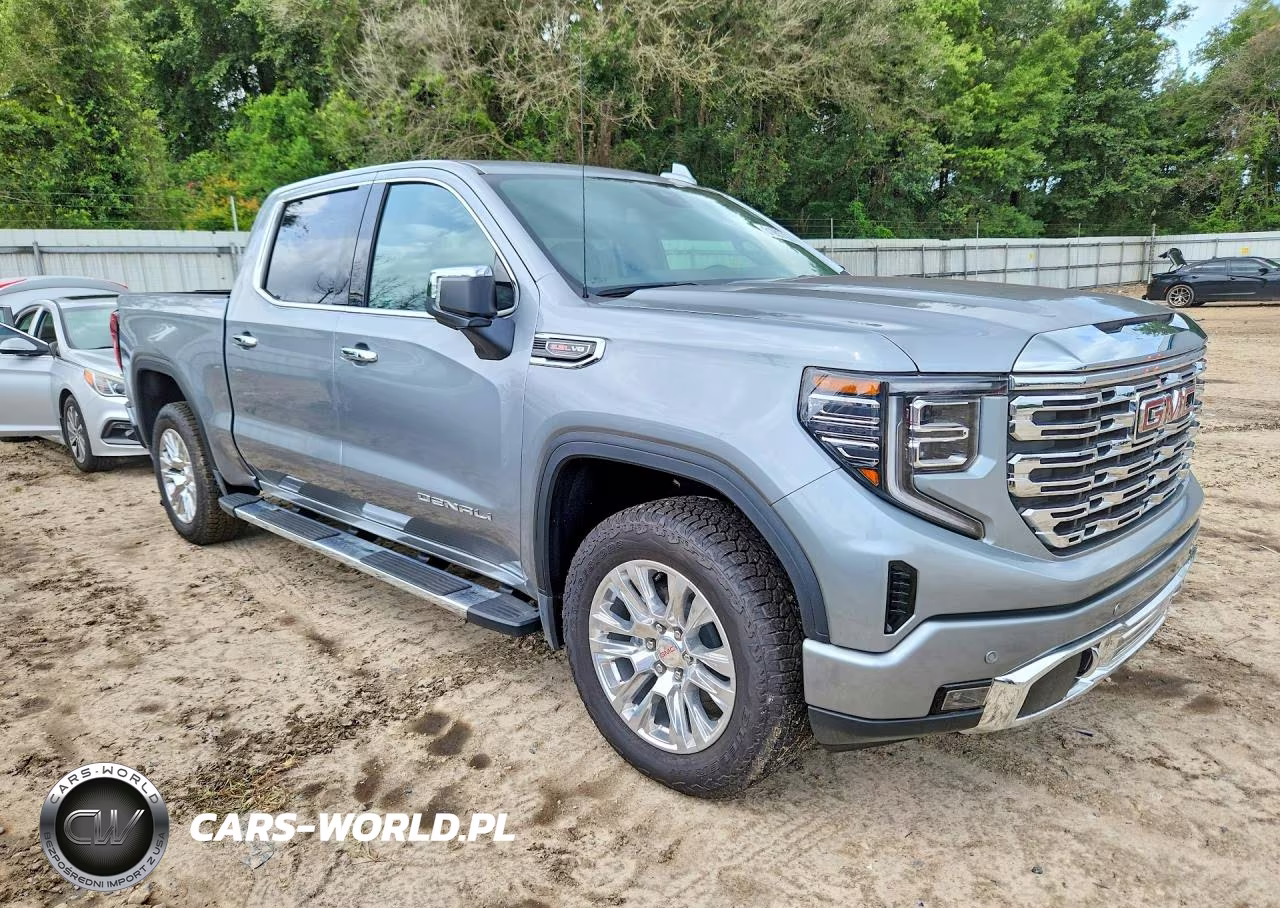 2025 GMC Sierra K1500 Denali VIN:3GTUUGEL3SG169557 - 4