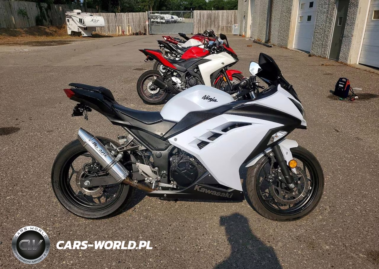 2013 Kawasaki Ex300 A – zdjęcie 1 z 10
