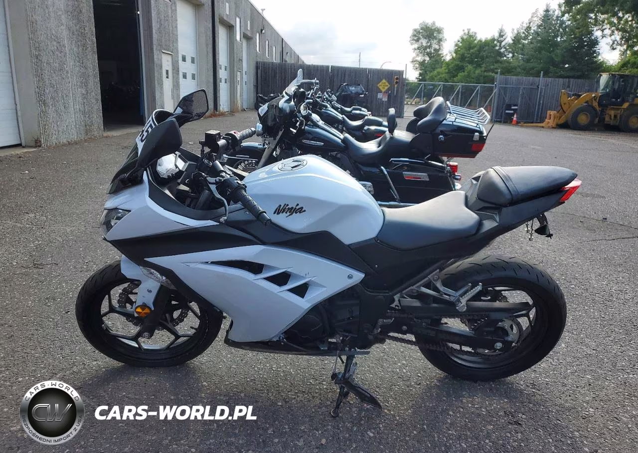 2013 Kawasaki Ex300 A VIN:JKAEX8A16DDA01012 - 3