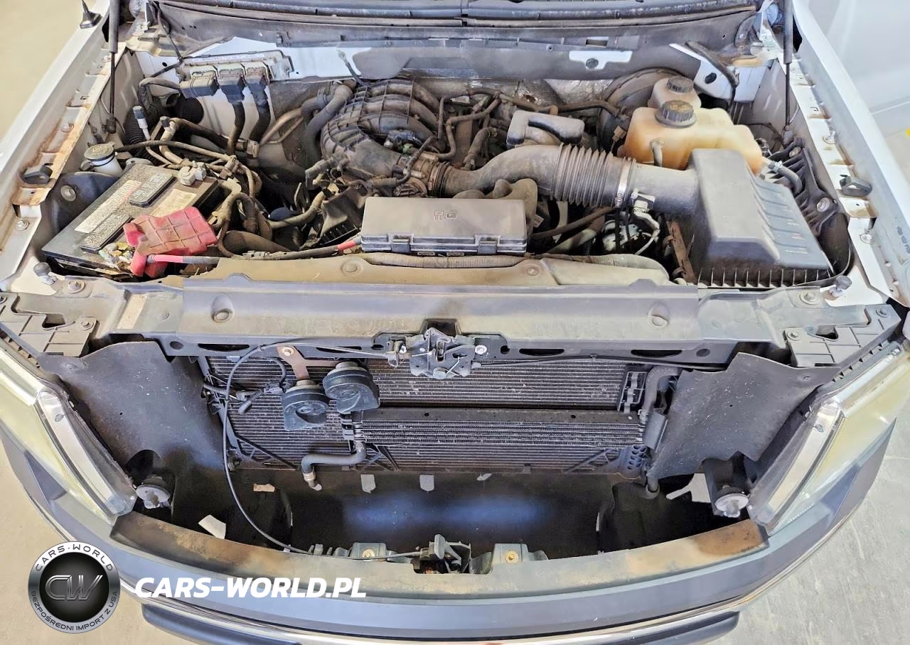2011 Ford F150 VIN:1FTMF1CM4BKD19879 - 11