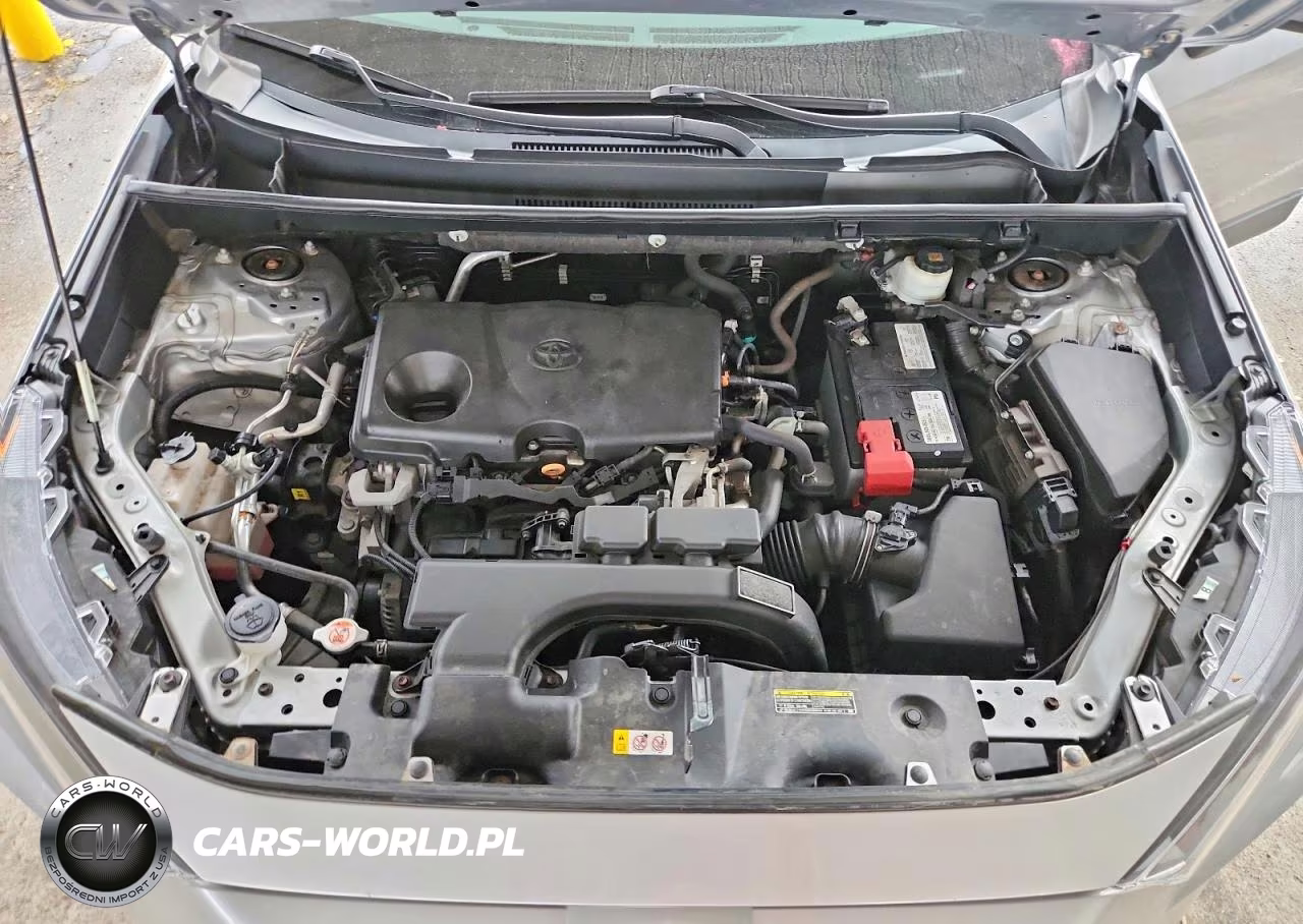 2019 Toyota Rav4 Le VIN:2T3F1RFV5KW077671 - 12