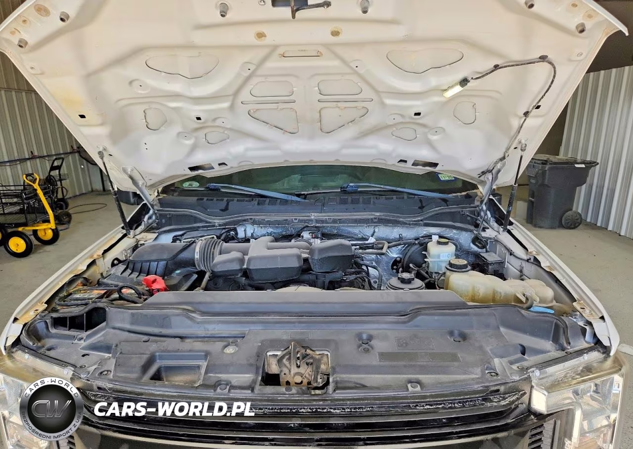 2019 Ford F250 Super Duty VIN:1FT7W2A61KEG38775 - 11