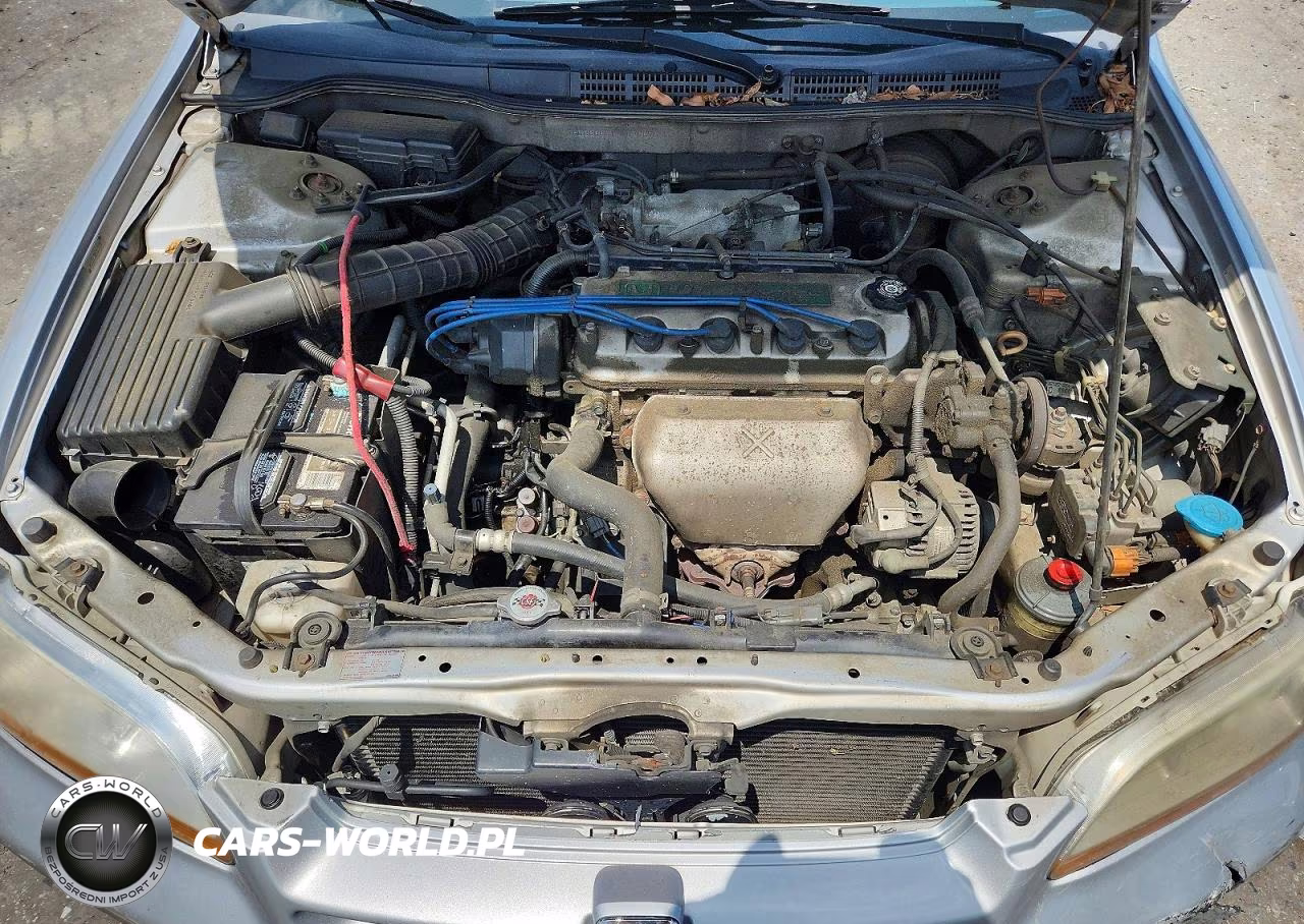 2000 Honda Accord Lx VIN:1HGCG6651YA025575 - 11