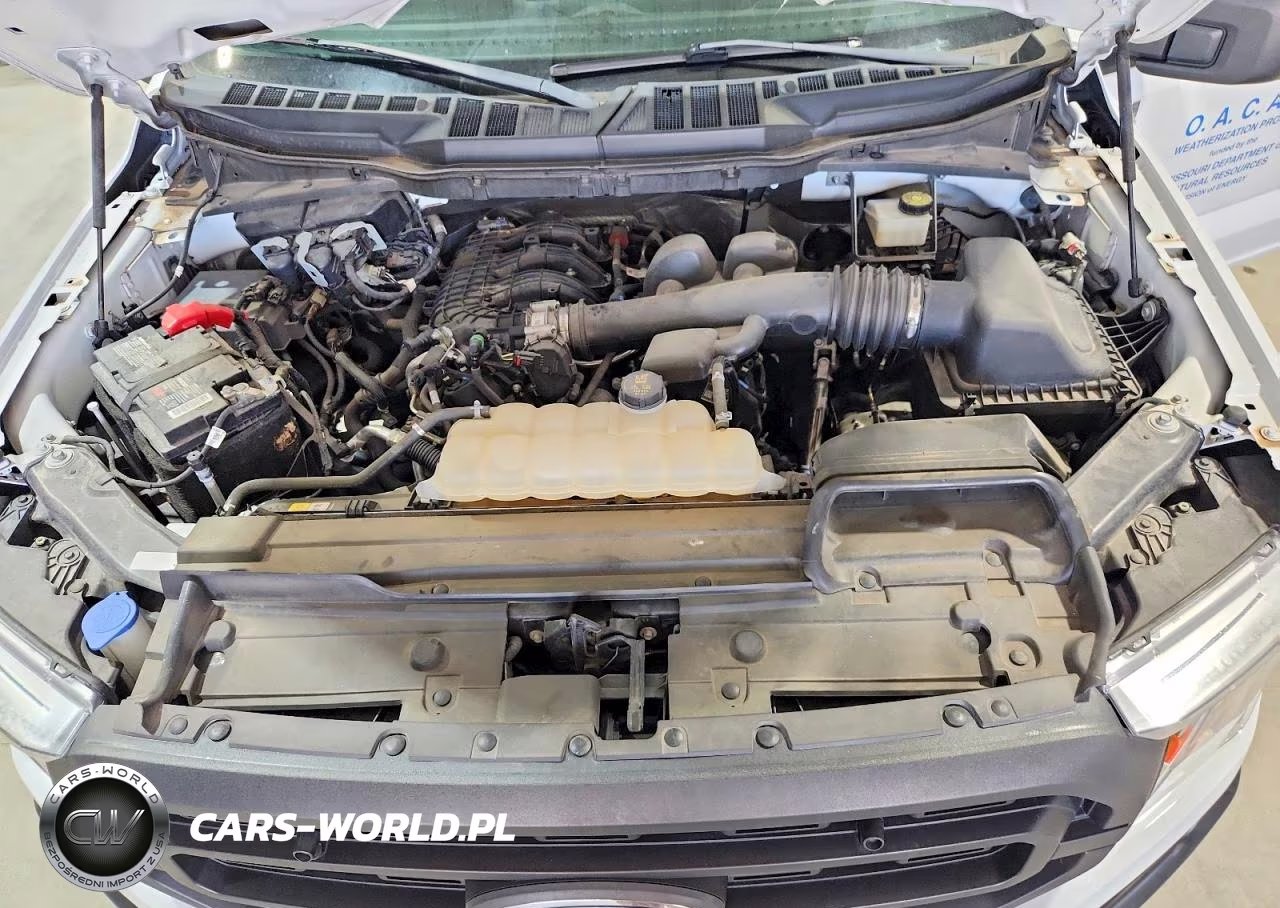 2021 Ford F150 VIN:1FTMF1CB5MKE76869 - 11