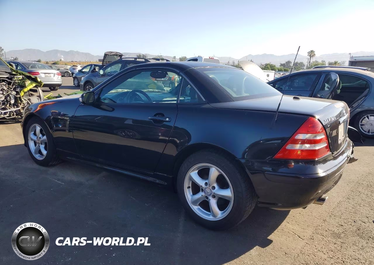 2002 Mercedes-Benz Slk 320 VIN:WDBKK65F62F252434 - 4