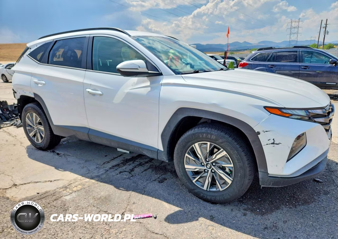 2022 Hyundai Tucson Blue VIN:KM8JBCA18NU020841 - 4