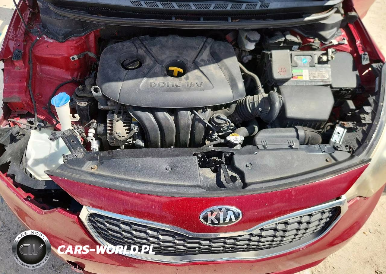 2014 Kia Forte Lx VIN:KNAFX4A69E5226464 - 11