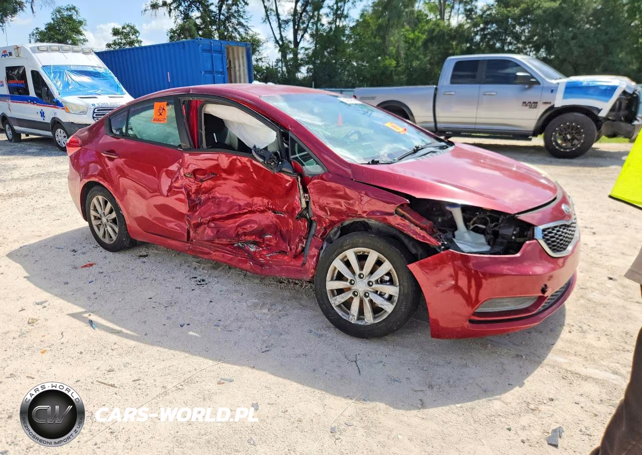 2014 Kia Forte Lx VIN:KNAFX4A69E5226464 - 4