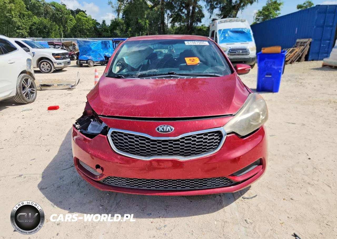 2014 Kia Forte Lx VIN:KNAFX4A69E5226464 - 5