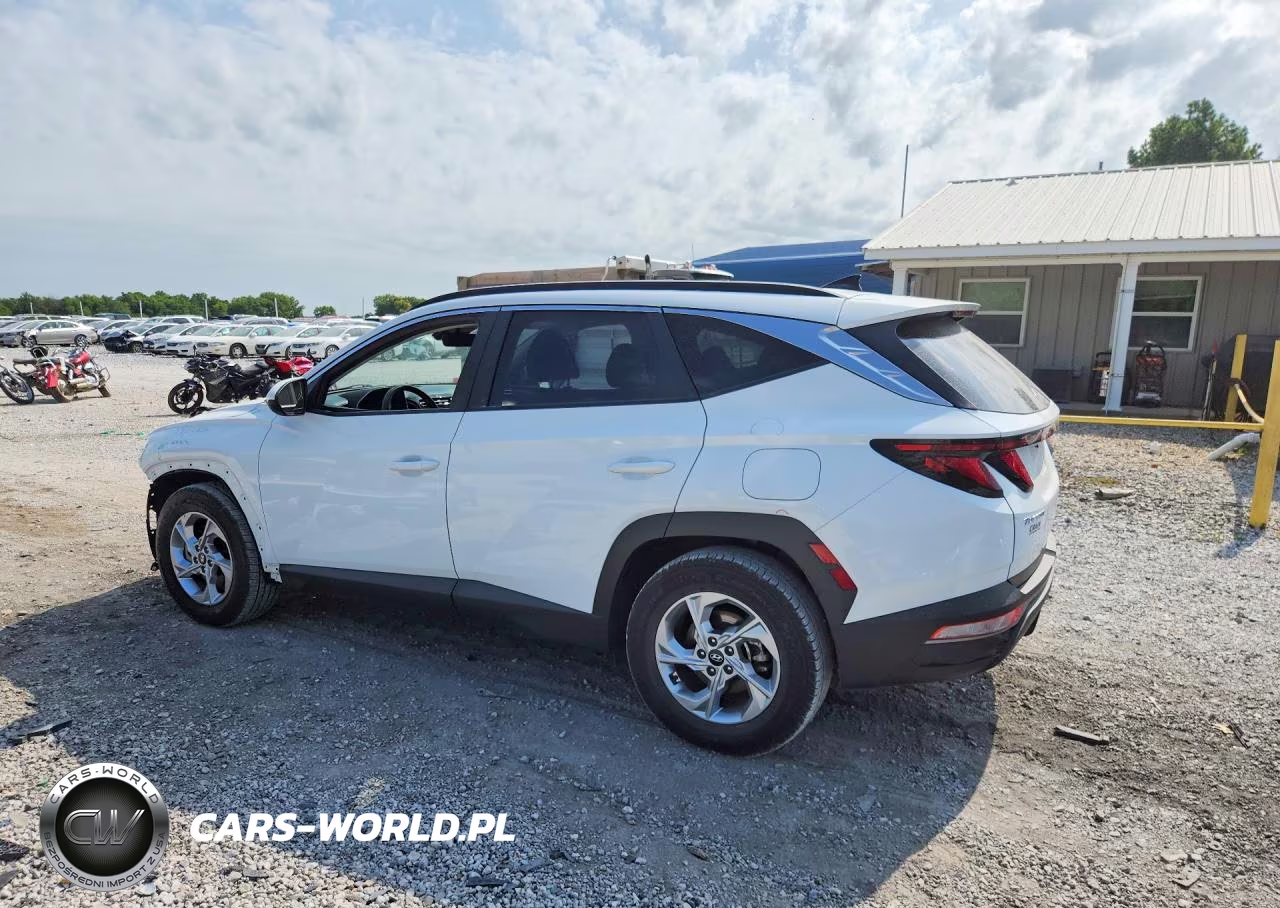 2024 Hyundai Tucson Sel VIN:5NMJB3DE0RH339201 - 2