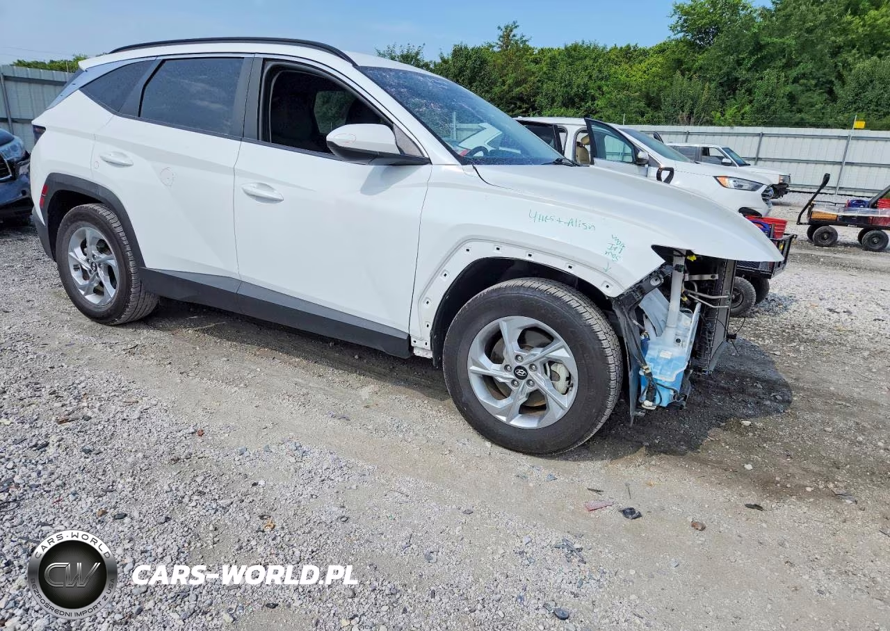 2024 Hyundai Tucson Sel VIN:5NMJB3DE0RH339201 - 4