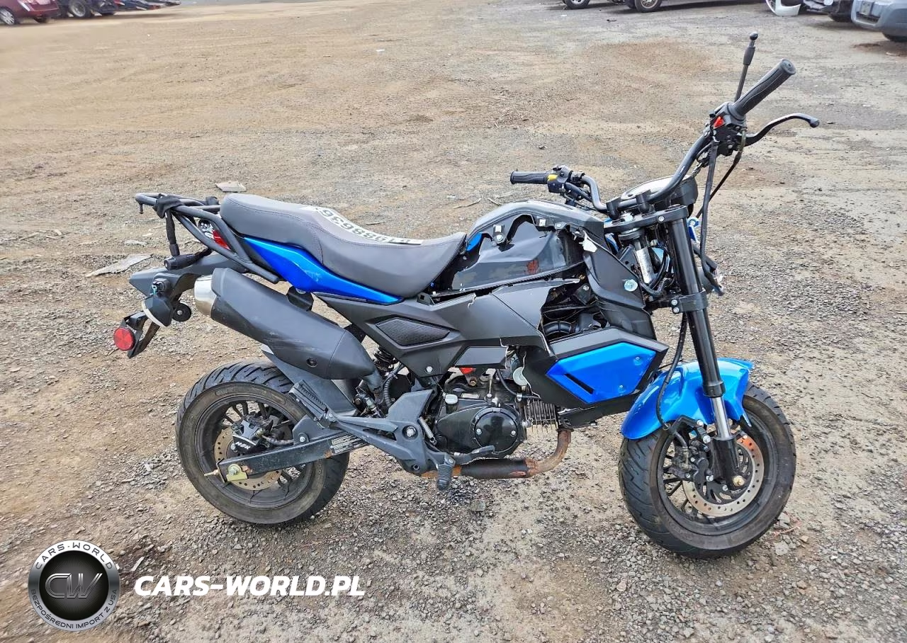 2024 Baod Bd125-10 – zdjęcie 1 z 8