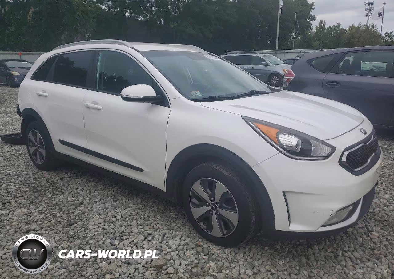 2017 Kia Niro Ex VIN:KNDCC3LC6H5048807 - 4