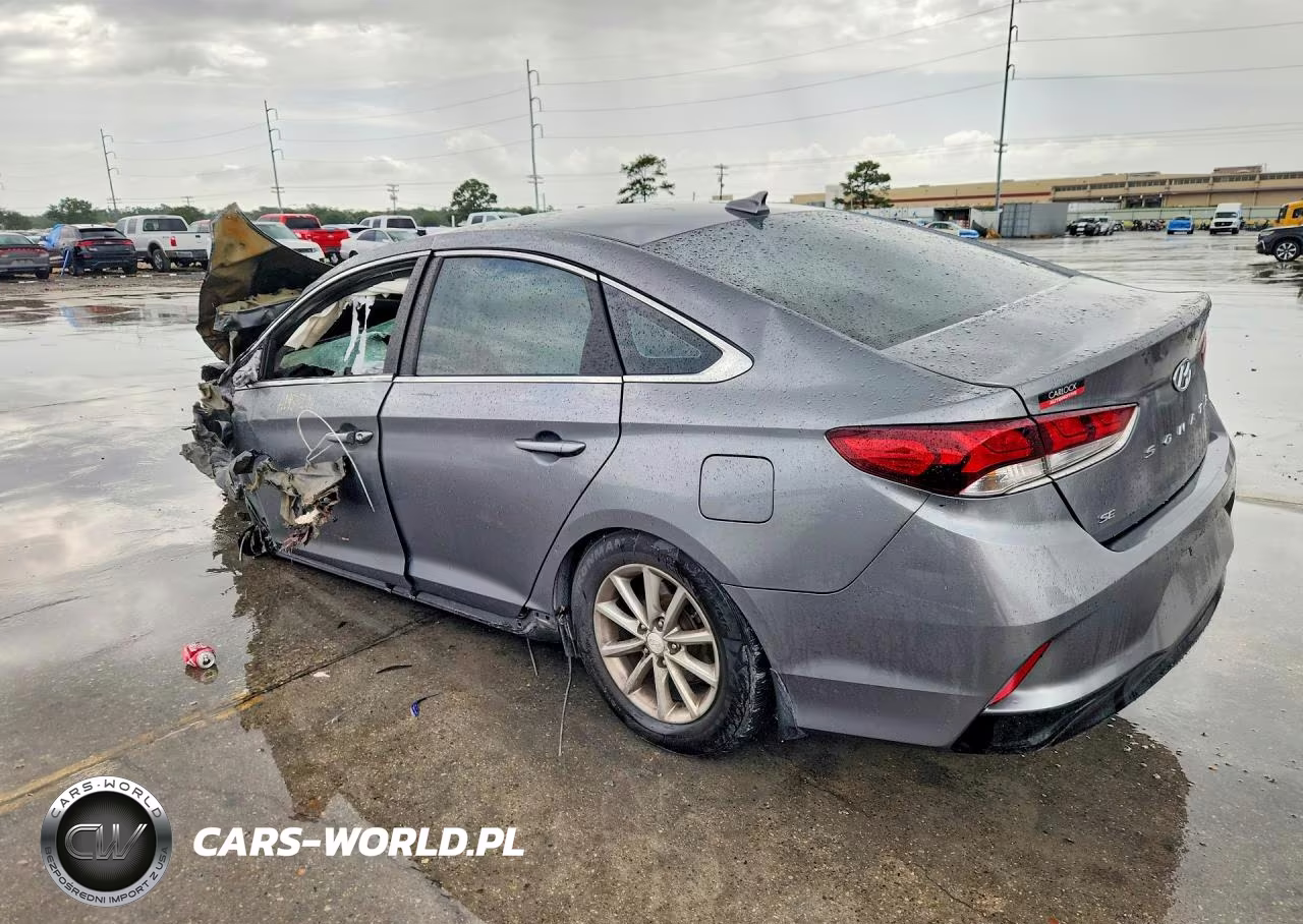 2019 Hyundai Sonata Se VIN:5NPE24AF2KH787727 - 2