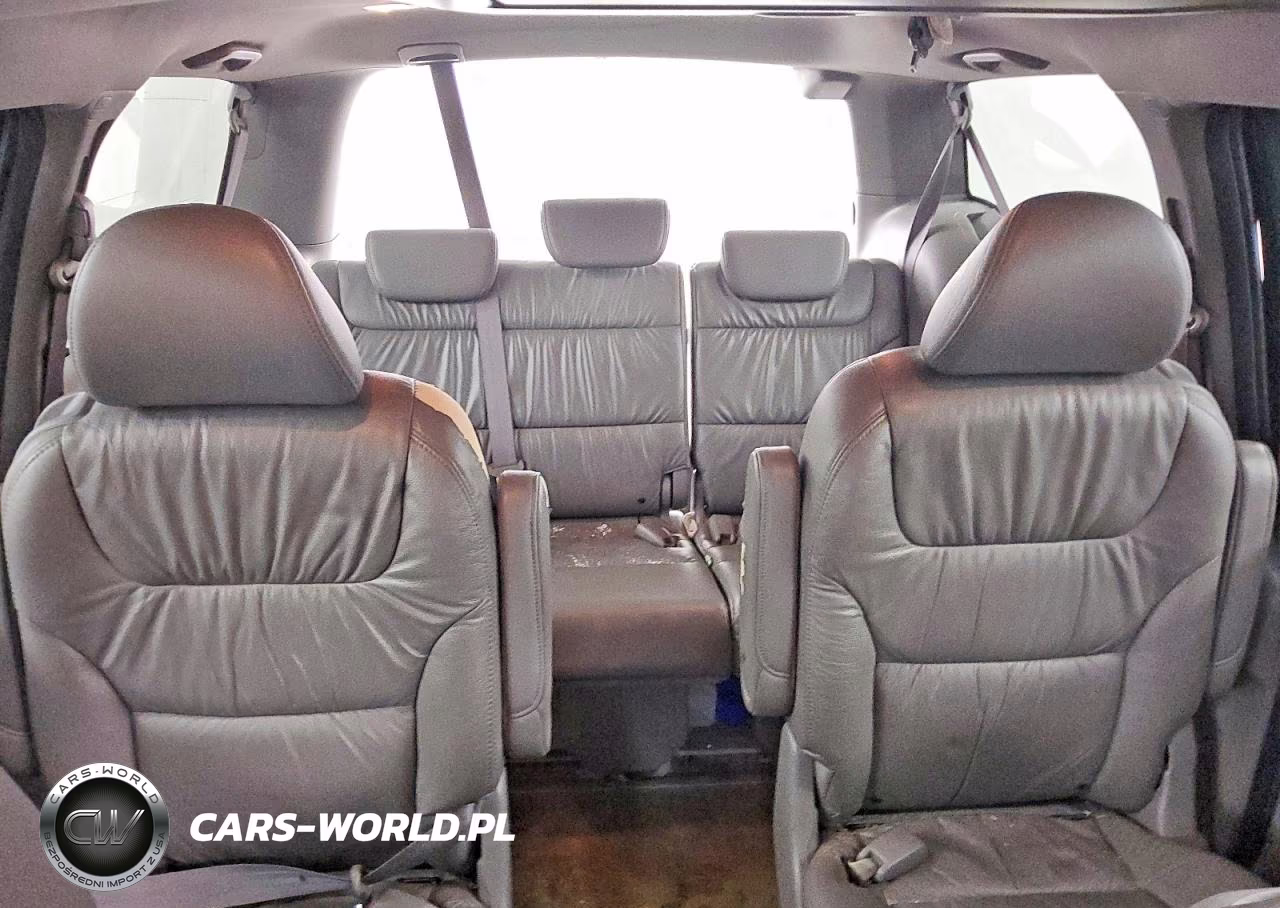 2009 Honda Odyssey Exl VIN:5FNRL38719B015381 - 10