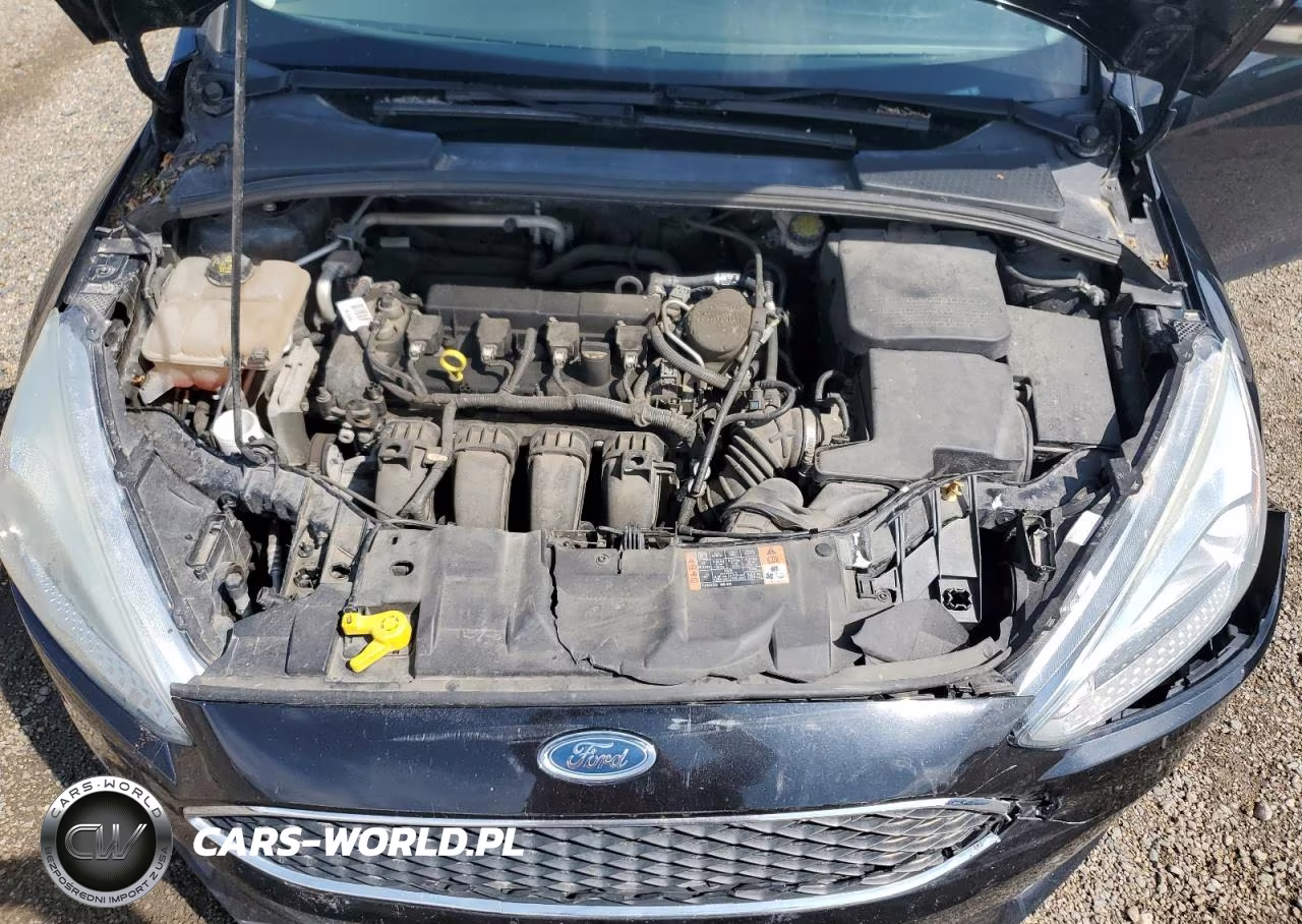2015 Ford Focus Se VIN:1FADP3K22FL327154 - 11