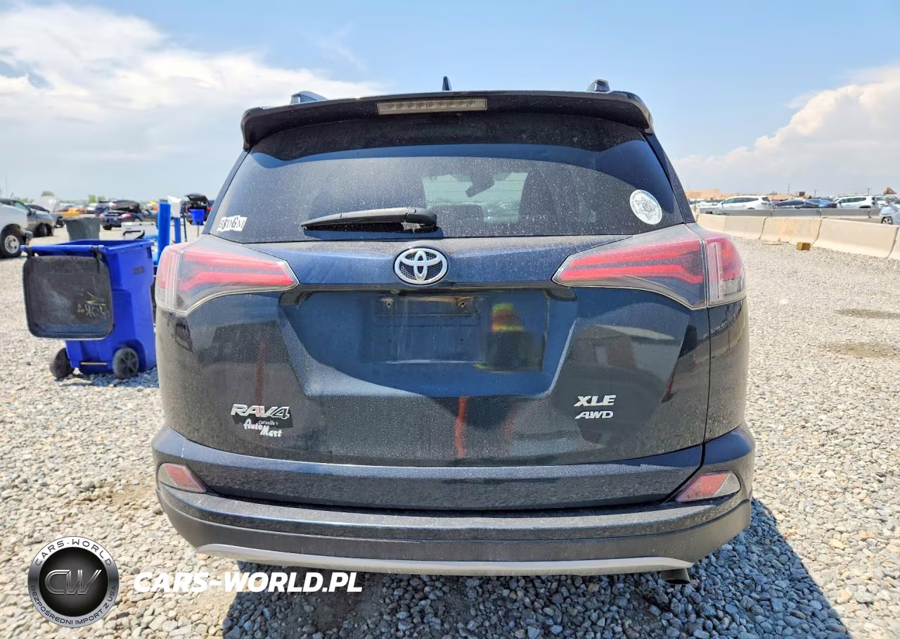2017 Toyota Rav4 Xle VIN:2T3RFREV0HW558159 - 6