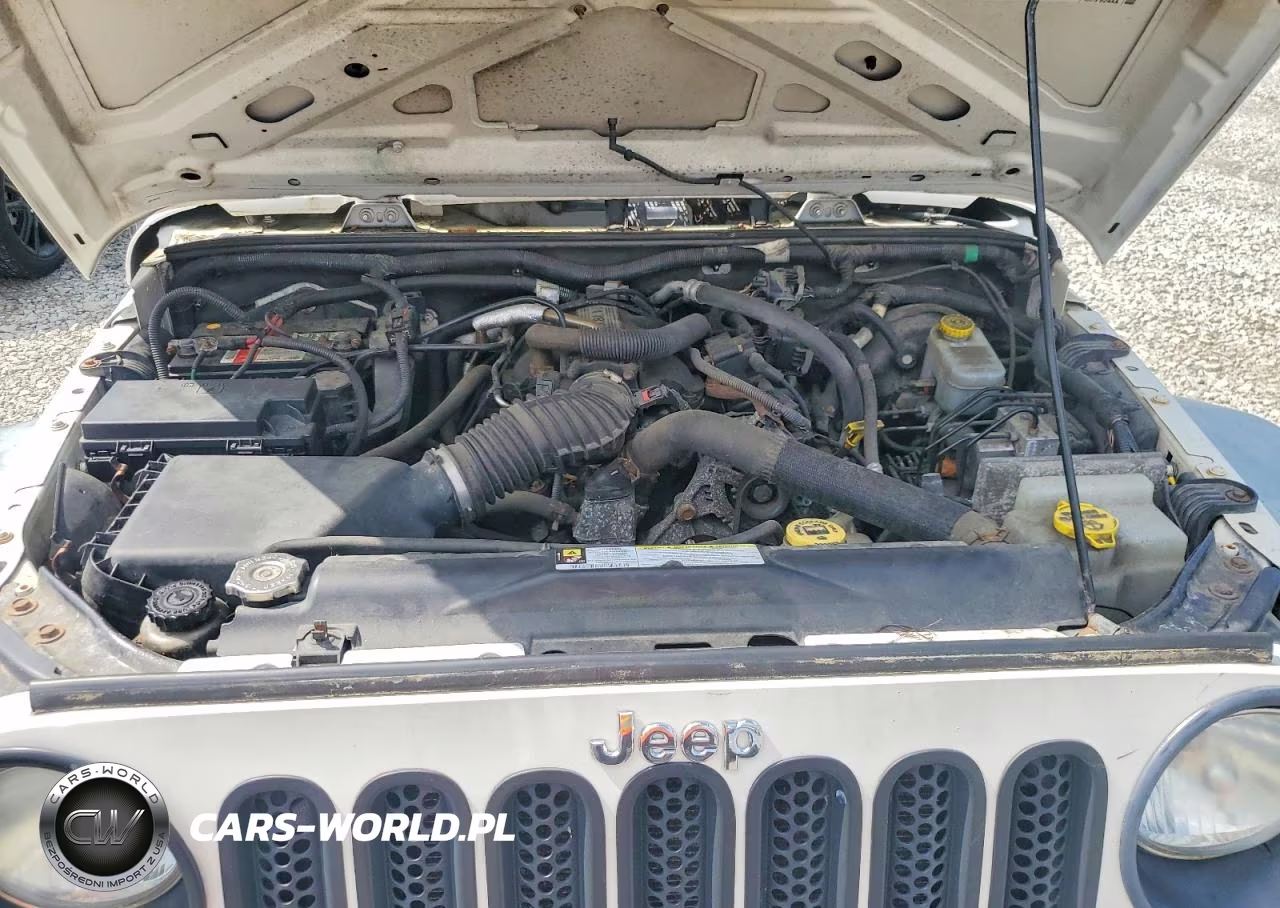 2009 Jeep Wrangler Jk Unlimited VIN:1J4GA39129L744018 - 11