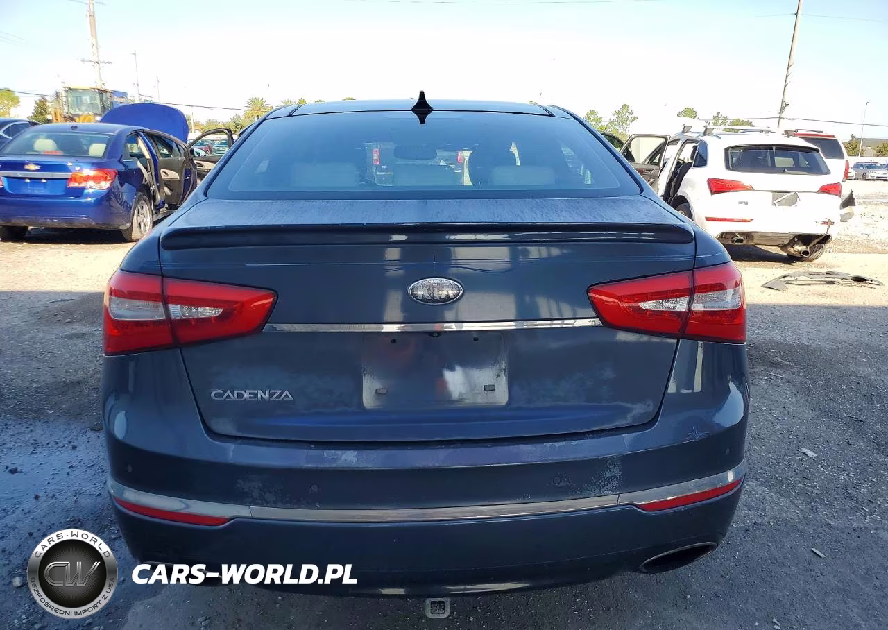 2014 Kia Cadenza Premium VIN:KNALN4D77E5122486 - 6