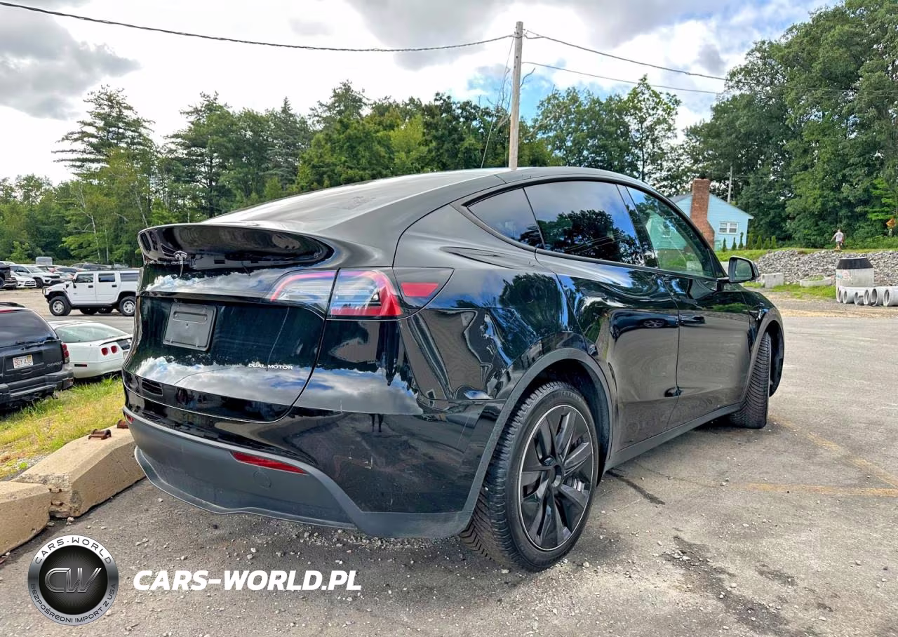 2024 Tesla Model Y VIN:7SAYGDEE4RA238488 - 3