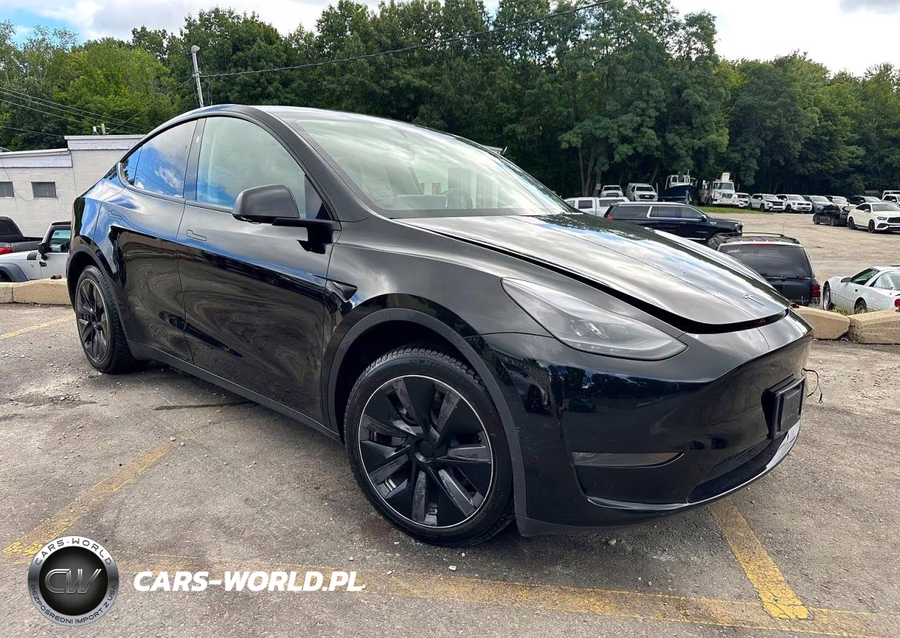 2024 Tesla Model Y VIN:7SAYGDEE4RA238488 - 4