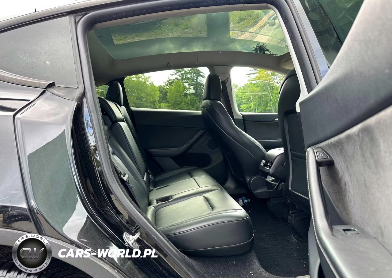 2024 Tesla Model Y VIN:7SAYGDEE4RA238488 - 8
