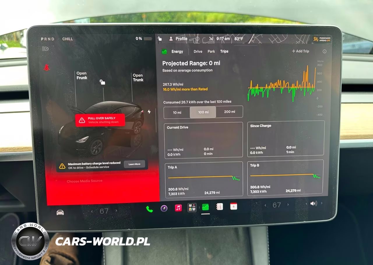 2024 Tesla Model Y VIN:7SAYGDEE4RA238488 - 9
