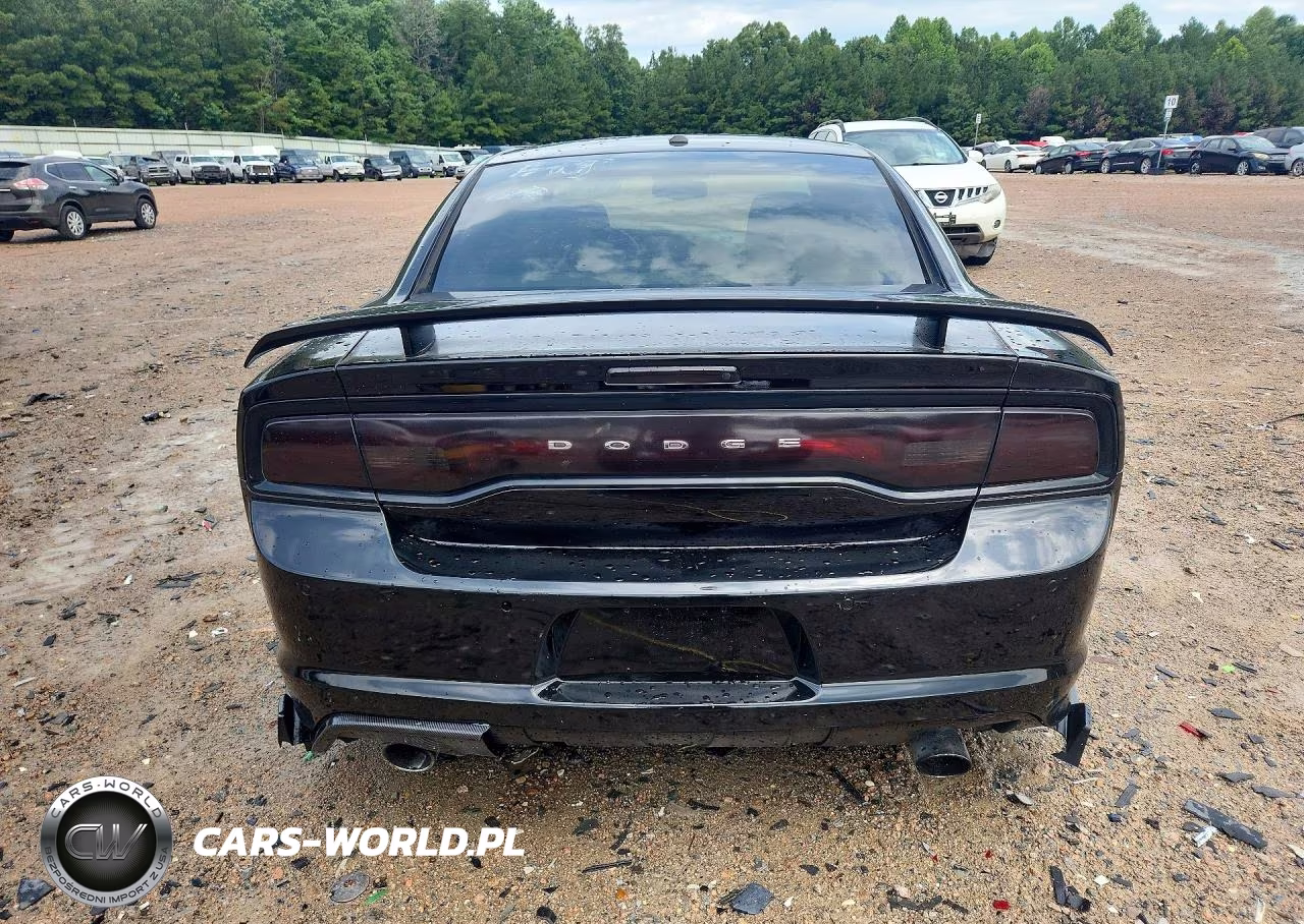 2013 Dodge Charger Super Bee VIN:2C3CDXGJ9DH595879 - 6