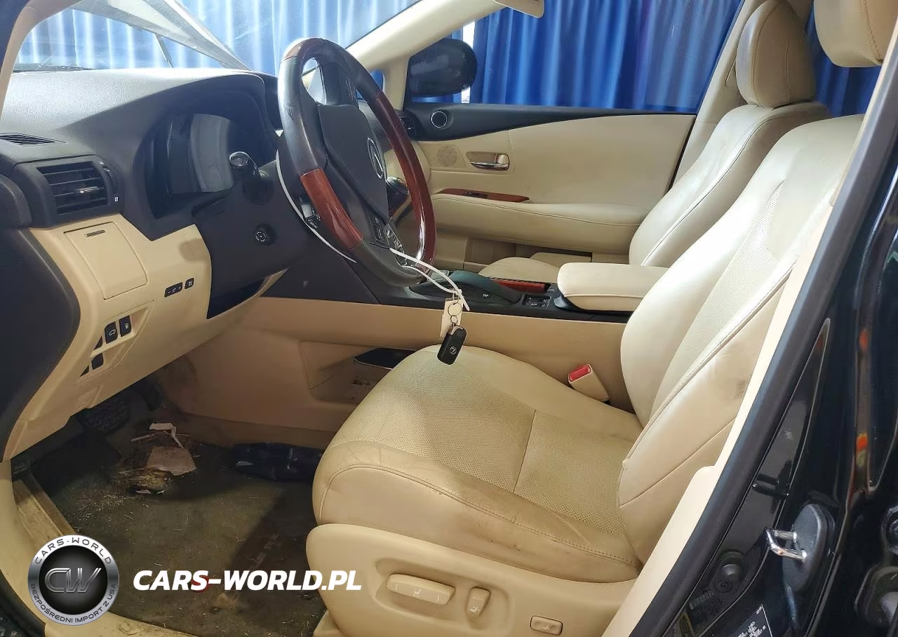 2010 Lexus Rx 450H VIN:JTJZB1BA9A2000126 - 7