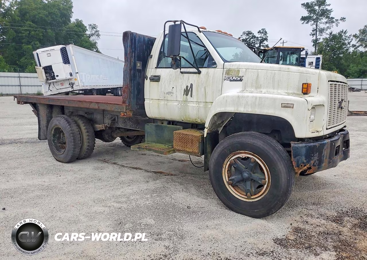 1990 Chevrolet Kodiak C6H042 VIN:1GBG6H1P4LJ201409 - 4